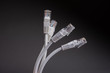 © FOTOWAWA - kabel RJ-45 internet