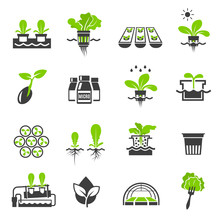 Collection Of Flat Icons - Hydroponic Gardening Systems