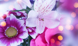 Fototapeta Storczyk - Delicate blurred floral background. Spring flowers close-up, blurry lights