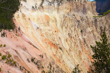 Wall Mural - Yellowstone canyon