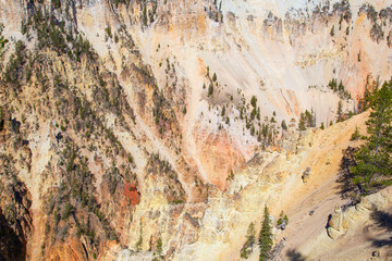 Wall Mural - Yellowstone canyon