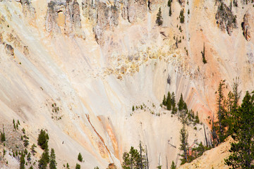 Wall Mural - Yellowstone canyon