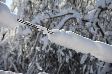 Winter wires. Snow-covered power grids.