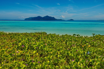 Wall Mural - Malaysia. A deserted reef island near the town of Semporna on the island of Borneo.