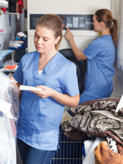 Wall Mural - Female worker inspecting clothing