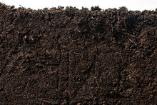 Soil Or Dirt Section Isolated On White Background