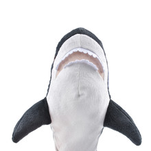 Shark Soft Toy On A White Background