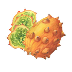 Wall Mural - Ripe whole and three slices of Cucumis metuliferus (also called an African horned cucumber, spiked melon, kiwano). Hand drawn botanical watercolor painting illustration isolated on white background.