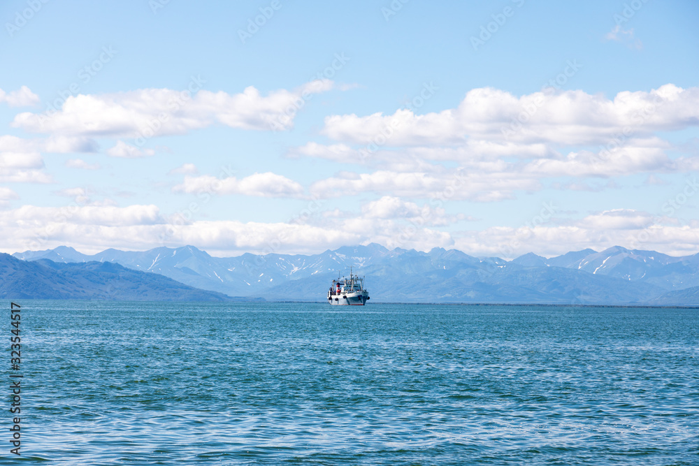 AVACHA BAY, KAMCHATKA PENINSULA, RUSSIA - AUGUST 10, 2018: One of the ...