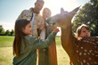 © Svitlana - Exciting experience. Cute little girl watching and stroking young dappled deer with food while spending great time with her family in zoo