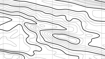 Poster - Topographic map background. Abstract vector illustration