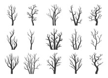 Winter Dry Trees