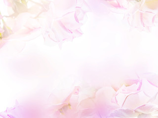 Wall Mural - Abstract floral backdrop of purple flowers with soft style.