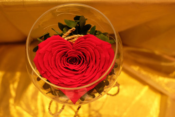 Wall Mural - Heart shape real red rose in glass cup