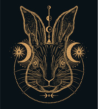 Rabbit Animal Magic Drawing Line.Gold Line In Black Background.Vintage Style Tattoo.