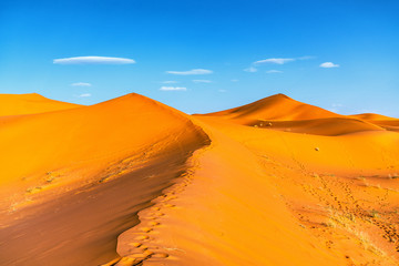 Wall Mural - Sahara desert