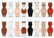 smiling alpacas border set, front and back