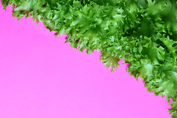 green lettuce leaves on a pink background