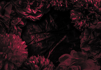 Wall Mural - Beautiful abstract color pink and red flowers graphic on black background and light black and pink flower frame and pink leaves texture, dark background, red banner happy valentine