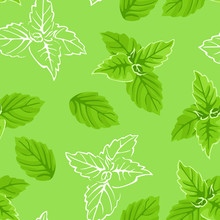 Basil Leaves Seamless Pattern. Vector Cartoon Color Illustration Of Green Herbs On Green Background. White Outline.