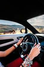 Hands Close Up Of Stylish Woman With Bracelets At Steering Wheel Of Sportive Car In A Road With Donkeys At Sunset