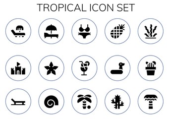 Wall Mural - tropical icon set