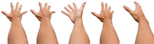 GROUP OF Male Asian Hand Gestures Isolated Over The White Background. Soft Grab Action. Touch Action.