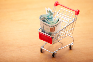 Poster - Food cart with Russian money. food basket