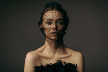 Fashion Portrait Of Beauty Elegant Girl Posing In Black Veil On Dark Background. Gorgeous Stylish Model Woman In Black Dress With Feathers. Art Creative Concept Of Black Swan Or Dark Angel