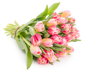 Poster - Fresh spring tulips on white