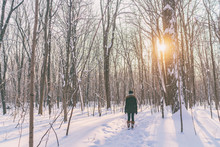 Winter Snow Walk Woman Walking Away In Snowy Forest On Woods Trail Outdoor Lifestyle Active People. Outside Leisure. Lost Wanderlust Girl Hiking In Nature.