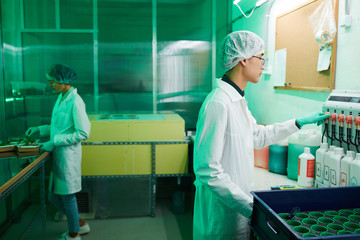 Side view at two workers wearing protective clothing working in bio laboratory or nursery greenhouse, copy space