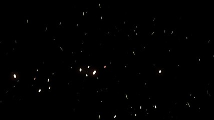 Poster - Abstract snow particles falling down in colorful light on black background. Animation. Beautiful small snowflakes soaring in the night sky.