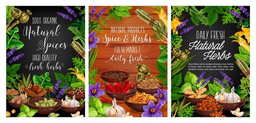 Canvas Print - Fresh herbs, spices and vegetable seasonings vector design of food condiments. Basil, mint and parsley plant green leaves, chilli peppers, cinnamon and vanilla, ginger, garlic and cardamom seeds frame