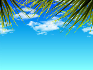 Wall Mural - Blue sky with white clouds and palm leaves. 3D vector. High detailed realistic illustration.