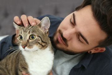 Wall Mural - Man with cat at home. Friendly pet