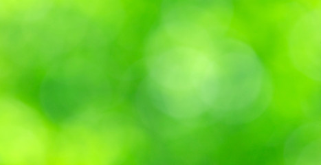 green bokeh