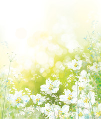 Wall Mural - vector spring, floral background. nature background.