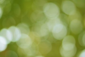 Sticker - background green olive bokeh