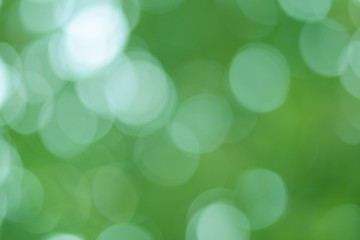 Sticker - background green olive bokeh