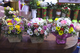 Fototapeta Kwiaty - bouquets with flowers on the counter of a flower shop. Roses, chrysanthemums and alstroemeria in wooden vase boxes