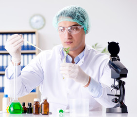 Biotechnology concept with scientist in lab