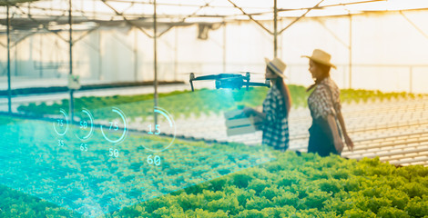 Wall Mural - smart farm,5g,agriculture,big data,digital twin,machine learning concept.farmer use drone for survey