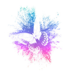 Aufkleber - color paint splashes with butterfly isolated on a white background. print for the designer