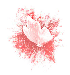 Aufkleber - color paint splashes with butterfly isolated on a white background. print for the designer