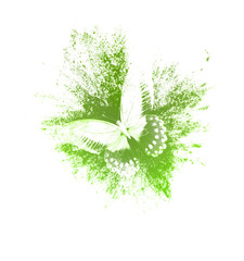 Aufkleber - color paint splashes with butterfly isolated on a white background. print for the designer