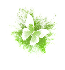 Aufkleber - color paint splashes with butterfly isolated on a white background. print for the designer