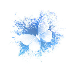 Aufkleber - color paint splashes with butterfly isolated on a white background. print for the designer