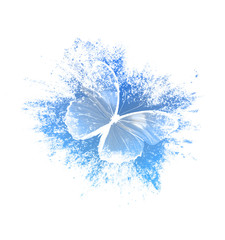 Aufkleber - color paint splashes with butterfly isolated on a white background. print for the designer