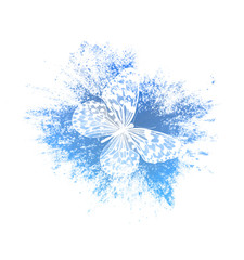 Aufkleber - color paint splashes with butterfly isolated on a white background. print for the designer